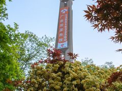 -南京古林公园