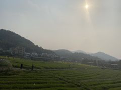 -红山村