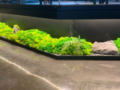 -淘米捞·米汤脆鲩鱼火锅(福田皇岗店)