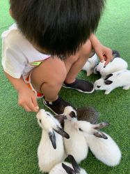 -萌宠亲子动物乐园(槐房万达店)