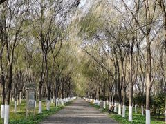-东郊湿地公园