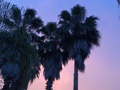 -福建鲤鱼洲酒店