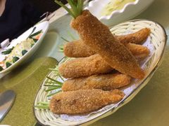 -丁老爷子苏香圆