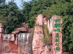 -大屏嶂森林公园