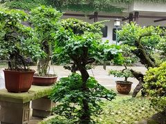-南山植物园