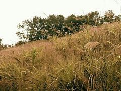 -白云山风景名胜区