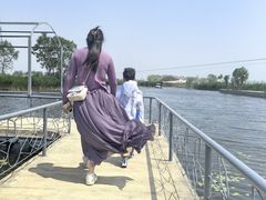 -白洋淀景区