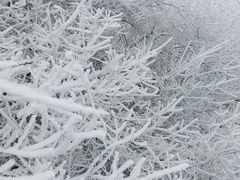 -太子岭滑雪场