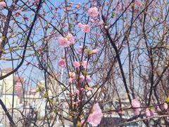 -京津佛罗伦萨小镇