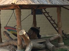 -石家庄市动物园