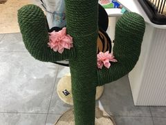 -1013 PET SHOP精品宠物商店(丁香店)