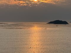 -北岐滩涂