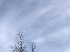 -吉林大学前卫南区-莘子园食堂