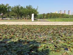 -尚贤河湿地