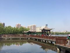 -莲花池公园