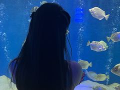-合肥海洋世界