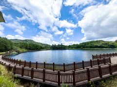 -海南热带雨林国家公园吊罗山景区