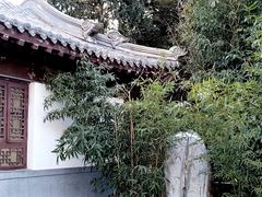 -团结湖公园