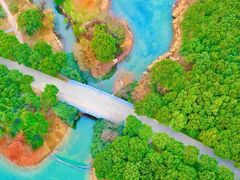 -贡湖湾湿地公园