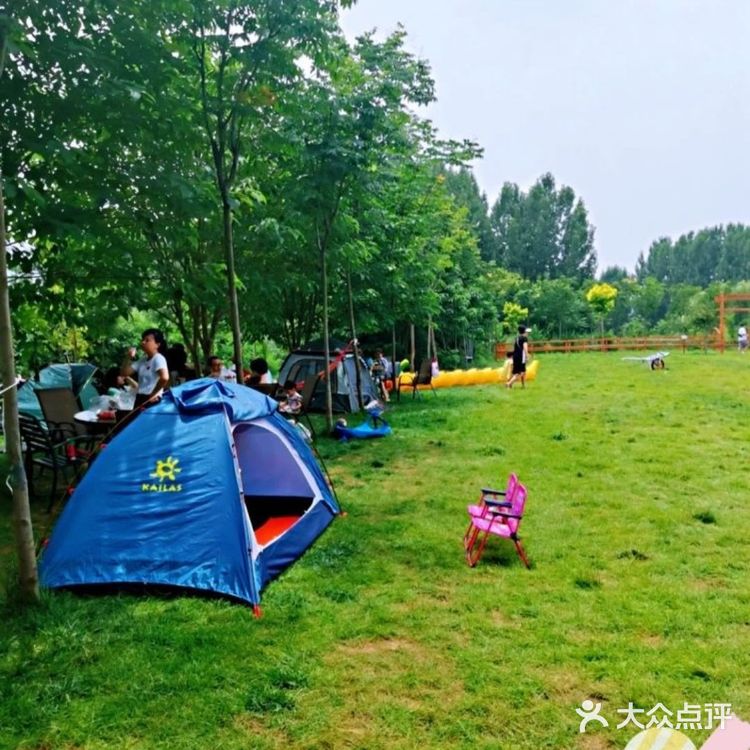 在悦芽谷与夏天草地来个约会吧