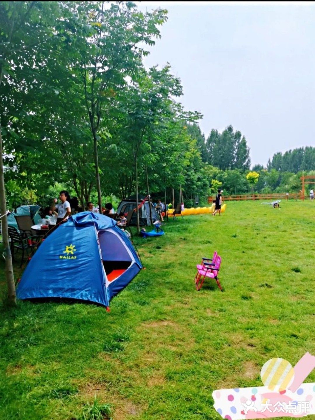 在悦芽谷与夏天草地来个约会吧