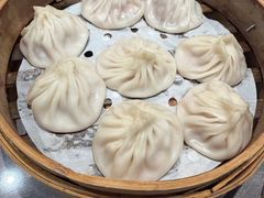 -莱莱小笼·乔艾