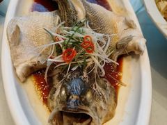 -燕郊烧鸽子(酷车小镇店)