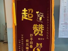 -瑞派申生动物医院·24H夜诊·国际动物医疗中心·骨外科(吴中路店)