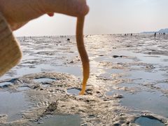 -北海金海湾红树林生态旅游区