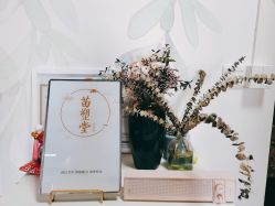 -苗塑堂减肥·艾灸