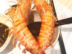 -鲜入围煮花胶鸡海鲜火锅