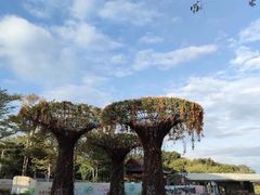 -梅州天地人花园酒店(梅县人民广场店)