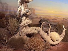 -陕西自然博物馆