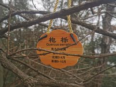 -北高峰