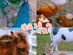 -丹樱生态园