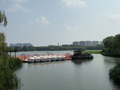 -大兴滨河森林公园