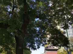 -圣安寺