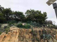 -胡里山炮台