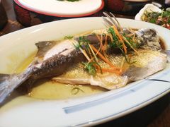 清蒸翘嘴鱼-醉美东江·三文鱼