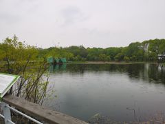 -西湖风景区-江洋畈生态公园