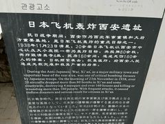 -老字号贾家肉丸糊辣汤(光明巷店)