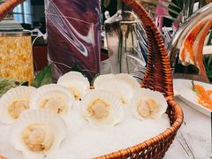 扇贝-南通大饭店·米兰餐厅