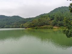 -广州白江湖森林公园