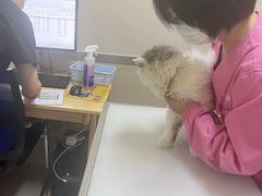 -爱妮康宠物医院·干细胞免疫细胞·肿瘤·心脏(张江店)