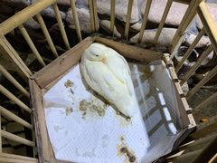 -馬蘭花開(车站大道店)
