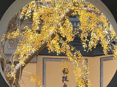 -新万鑫银丝面·非遗无锡味(惠山古镇店)