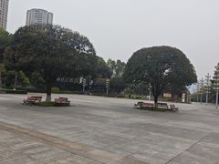 -重庆市江北嘴中央商务区中央公园