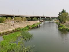 -东郊湿地公园