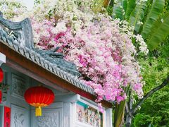 -深圳国际园林花卉博览园