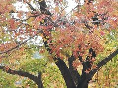 -香山公园-东宫门售票处